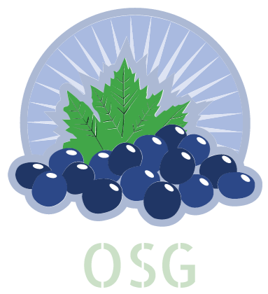 Ostrowiec Square Garden